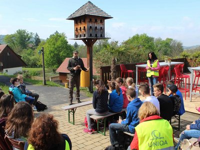 Kinder sitzen im Freien und hören einen Vortrag über Fledermäuse