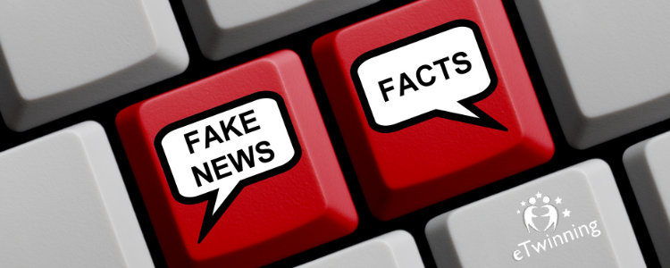 Es ist der Ausschnitt einer Tastatur zu sehen. Zwei Tasten sind rot gefärbt und haben Sprechblasen mit den Wörtern "Fake News" und "Facts"