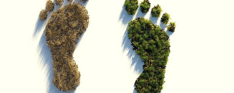 Bild zweier Fußabdrücke. einer besteht aus grünem blühendem Gras, der andere aus vertrockneten gebleichten Gras.